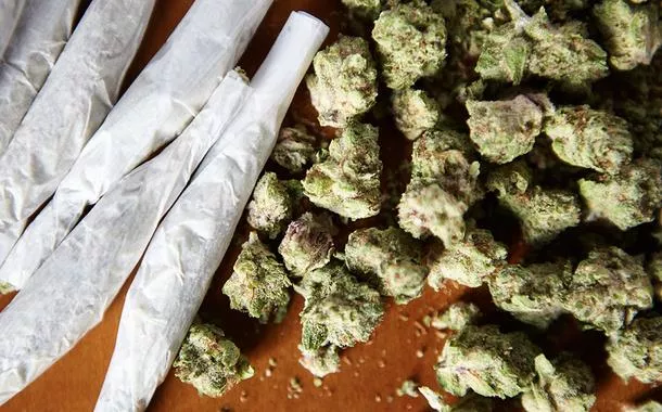 Comemoração do Dia Mundial da Cannabis acompanha avanços em marcos legais ao redor do planeta
