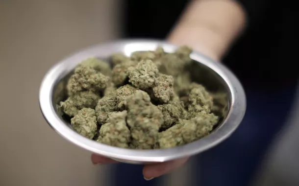 Cannabis
