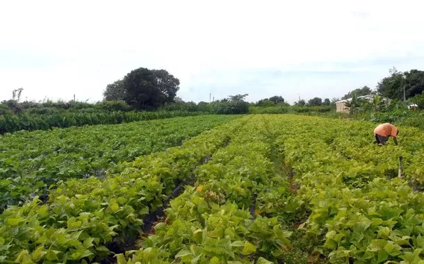 Semana do Meio Ambiente: Sistema Campo Limpo mostra como o agro brasileiro faz a diferença para o planeta
